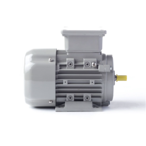 德國(guó)AC MOTOREN三相異步雙速電機(jī)AC09S8400002