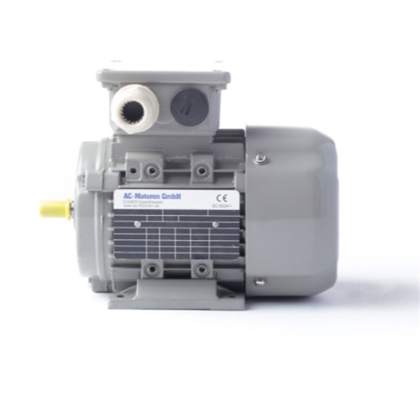 德國(guó)AC MOTOREN三相異步雙速電機(jī)AC09S8400002