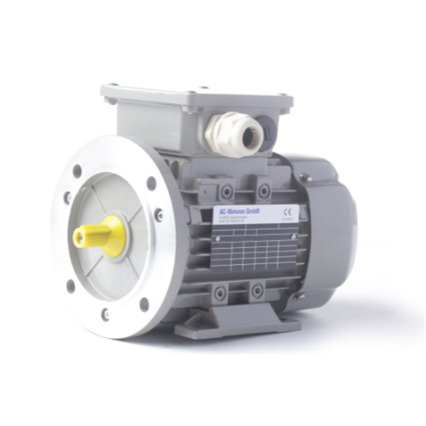 德國(guó)AC MOTOREN三相異步雙速電機(jī)AC09S8400002