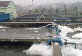 水性消泡劑應(yīng)用場(chǎng)景