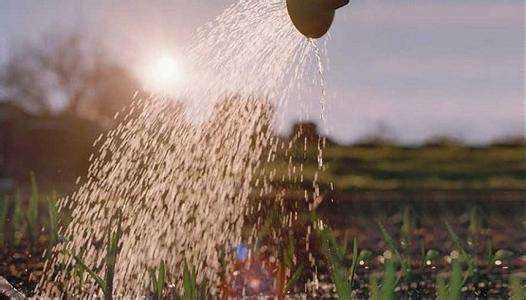 農(nóng)業(yè)用消泡劑應(yīng)用場景 農(nóng)業(yè)用消泡劑應(yīng)用場景