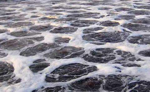 抄紙白水消泡劑應(yīng)用場(chǎng)景 抄紙白水消泡劑應(yīng)用場(chǎng)景